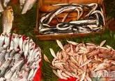 В Северной Осетии начнут готовить рыбоводов