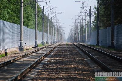 &quot;Узбекские железные дороги&quot; организовали дополнительные поезда из России