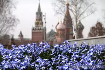  Ранняя весна пришла в Москву: нежные первоцветы распустились в Зарядье и Музеоне