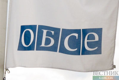Генсек ОБСЕ возлагает надежды на казахстанское председательство в организации 