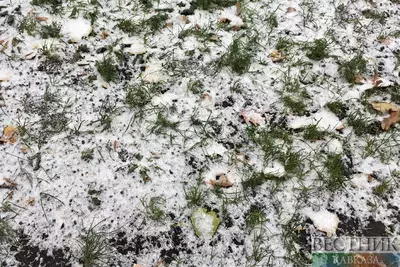 Ставрополье накроют снегопадом